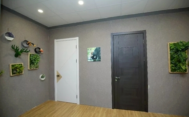 圣象家居實話實說:消費者代言才是走心!